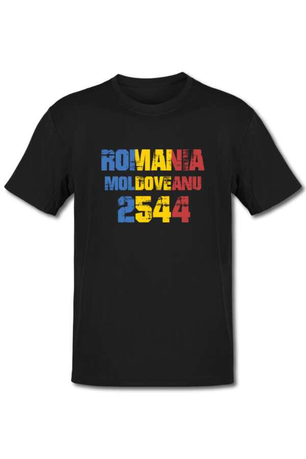 Tricou pentru montaniarzi - Moldoveanu - Romania 2500